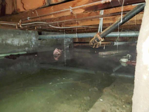 Best Emergency water damage restoration  in Westlake Village, CA