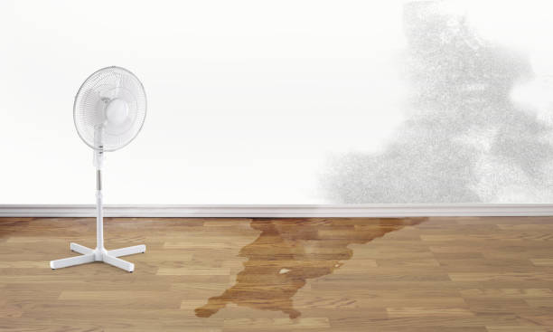 Best Flood restoration services  in Westlake Village, CA