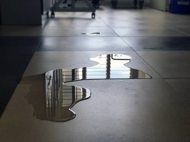 Best Local water damage restoration  in Westlake Village, CA